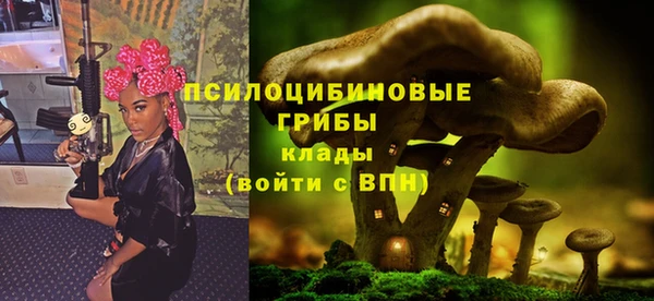 прущий лед Балахна