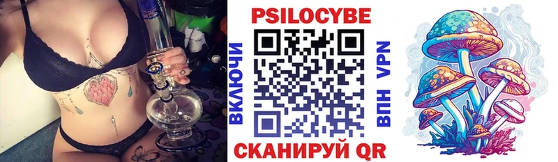 omg зеркало  Белозерск  Псилоцибиновые грибы мухоморы  купить  сайты 